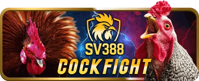 Liên hệ hỗ trợ đối tác e2betvip app