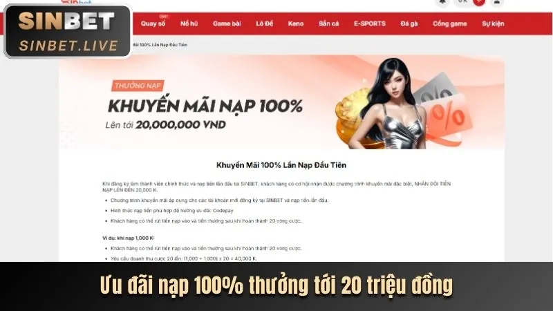 Cho phép cài đặt nguồn không xác định